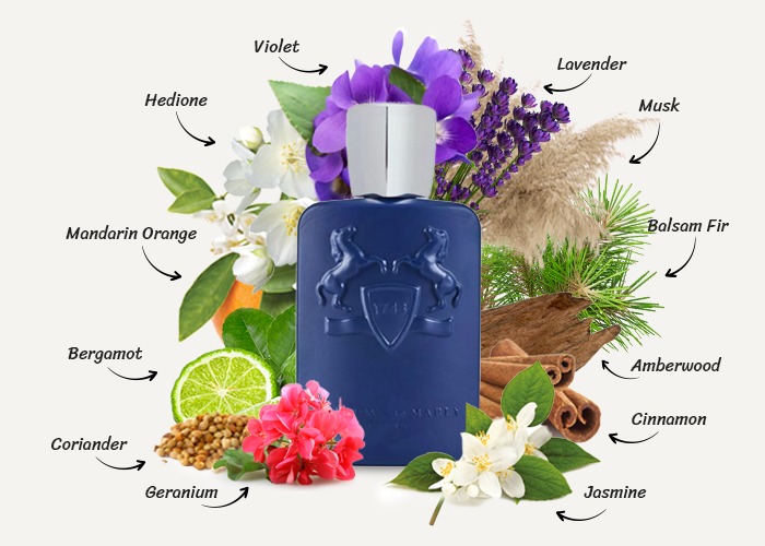 Nước hoa Parfums De Marly Percival Royal Essence EDP Nước hoa Parfums De Marly Percival Royal Essence EDP - Yêu Hàng Ngoại