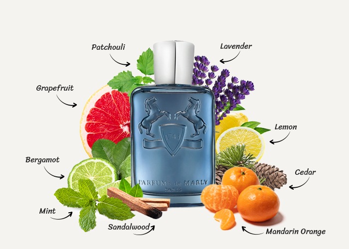 Nước hoa Parfums De Marly Paris Sedley EDP Nước hoa Parfums De Marly Paris Sedley EDP - Yêu Hàng Ngoại
