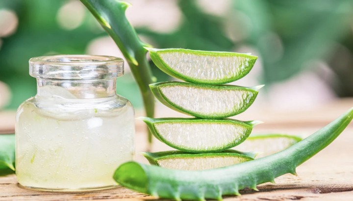 Những công dụng tuyệt vời của cây nha đam trong làm đẹp Những công dụng tuyệt vời của cây nha đam trong làm đẹp - Yêu Hàng Ngoại