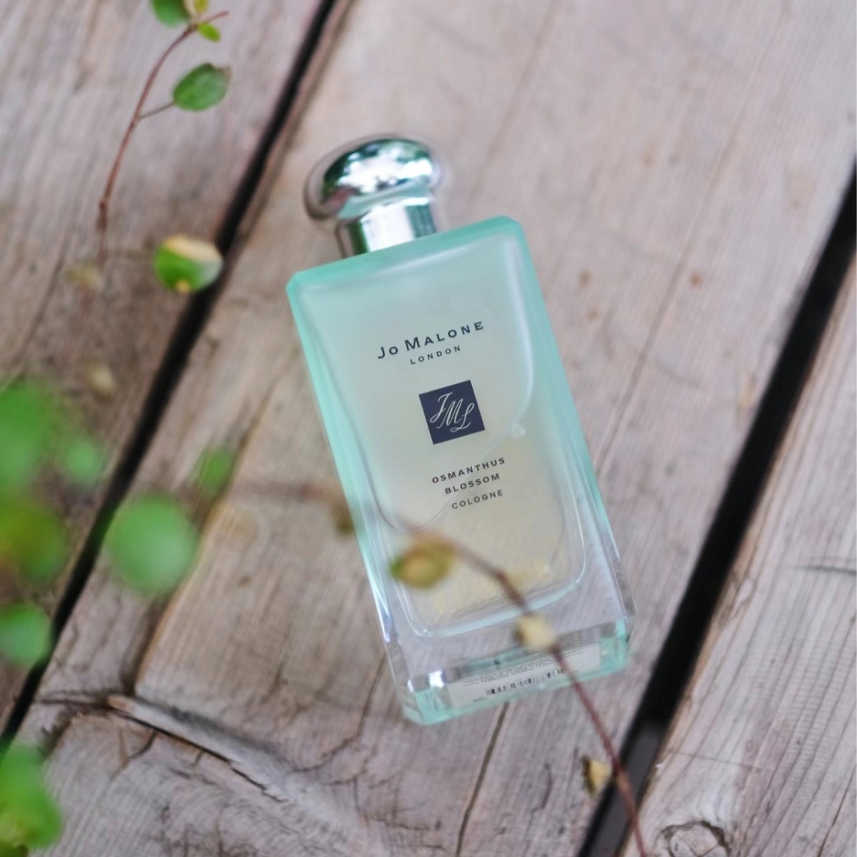 Nước hoa Jo Malone London Osmanthus Blossom Cologne Nước hoa Jo Malone London Osmanthus Blossom Cologne - Yêu Hàng Ngoại