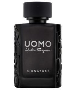 Alternative view of Nước hoa Salvatore Ferragamo Uomo Signature EDP