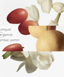 Nước hoa Hermes Le Jardin De Monsieur Li EDT Nước hoa Hermes Le Jardin De Monsieur Li EDT - Yêu Hàng Ngoại