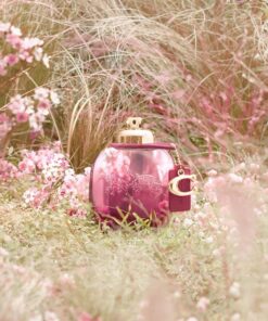 Nước hoa Coach Wild Rose EDP Nước hoa Coach Wild Rose EDP - Yêu Hàng Ngoại