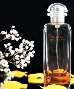 Nước hoa Hermes Un Jardin Sur La Lagune EDT Nước hoa Hermes Un Jardin Sur La Lagune EDT - Yêu Hàng Ngoại