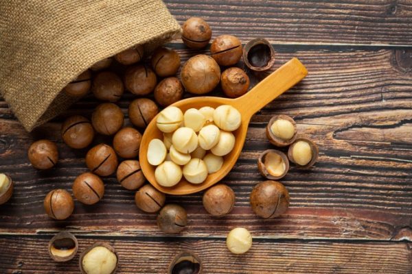5 loại hạt giúp cải thiện sức khỏe thận - Yêu Hàng Ngoại