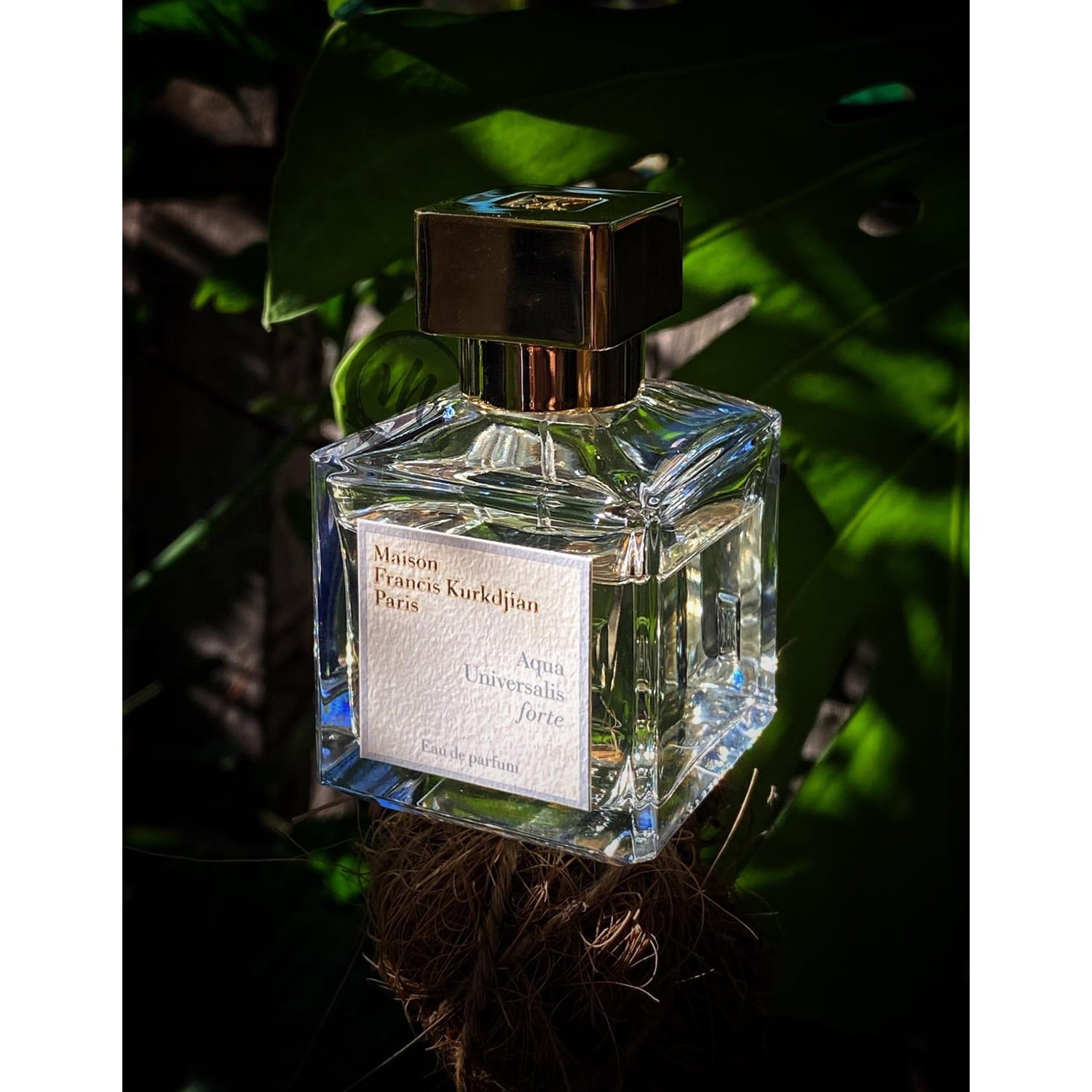 Nước hoa Unisex Maison Francis Kurkdjian Aqua Universalis Forte EDP Nước hoa Unisex Maison Francis Kurkdjian Aqua Universalis Forte EDP - Yêu Hàng Ngoại