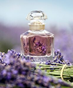 Nước hoa Guerlain Mon Guerlain EDP Nước hoa Guerlain Mon Guerlain EDP - Yêu Hàng Ngoại
