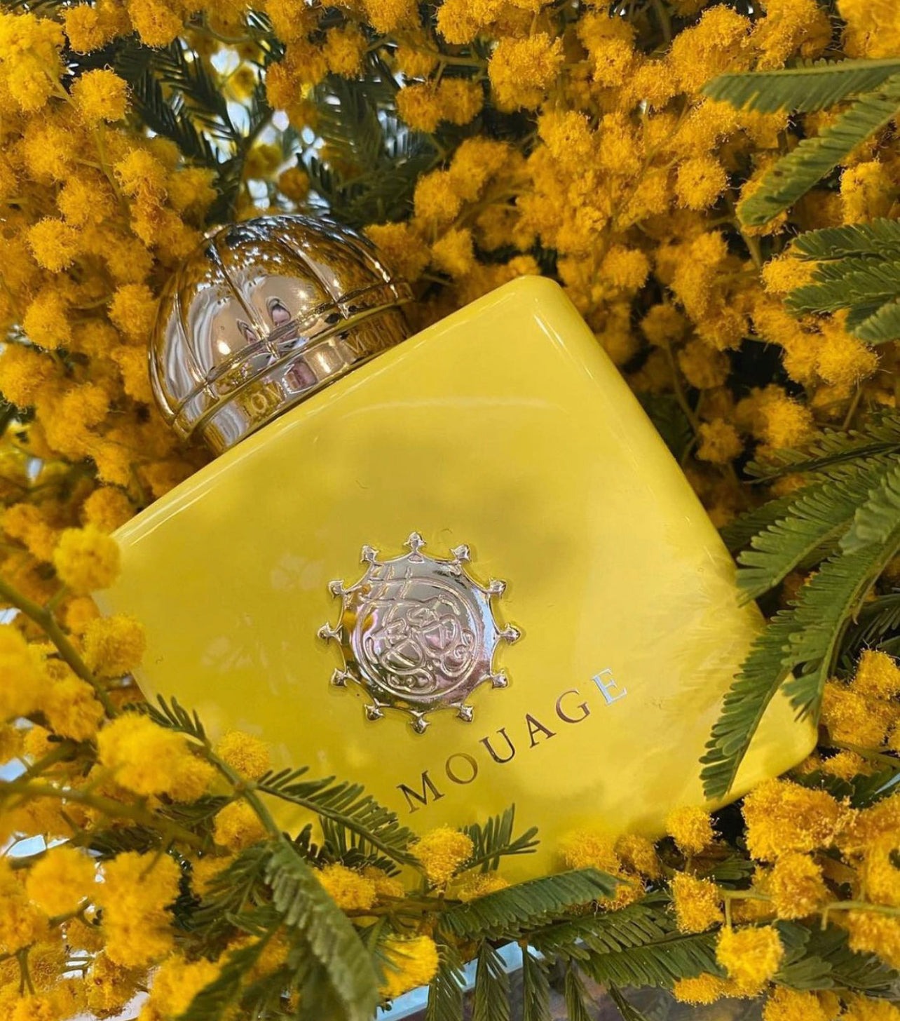 Nước hoa Amouage Love Mimosa EDP Nước hoa Amouage Love Mimosa EDP - Yêu Hàng Ngoại