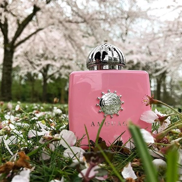 Nước hoa Amouage Blossom Love EDP Nước hoa Amouage Blossom Love EDP - Yêu Hàng Ngoại