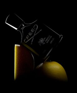 Nước hoa Creed Aventus Absolute EDP Nước hoa Creed Aventus Absolute EDP - Yêu Hàng Ngoại