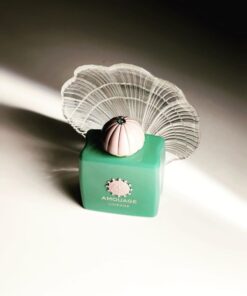 Alternative view of Nước hoa Amouage Lineage EDP