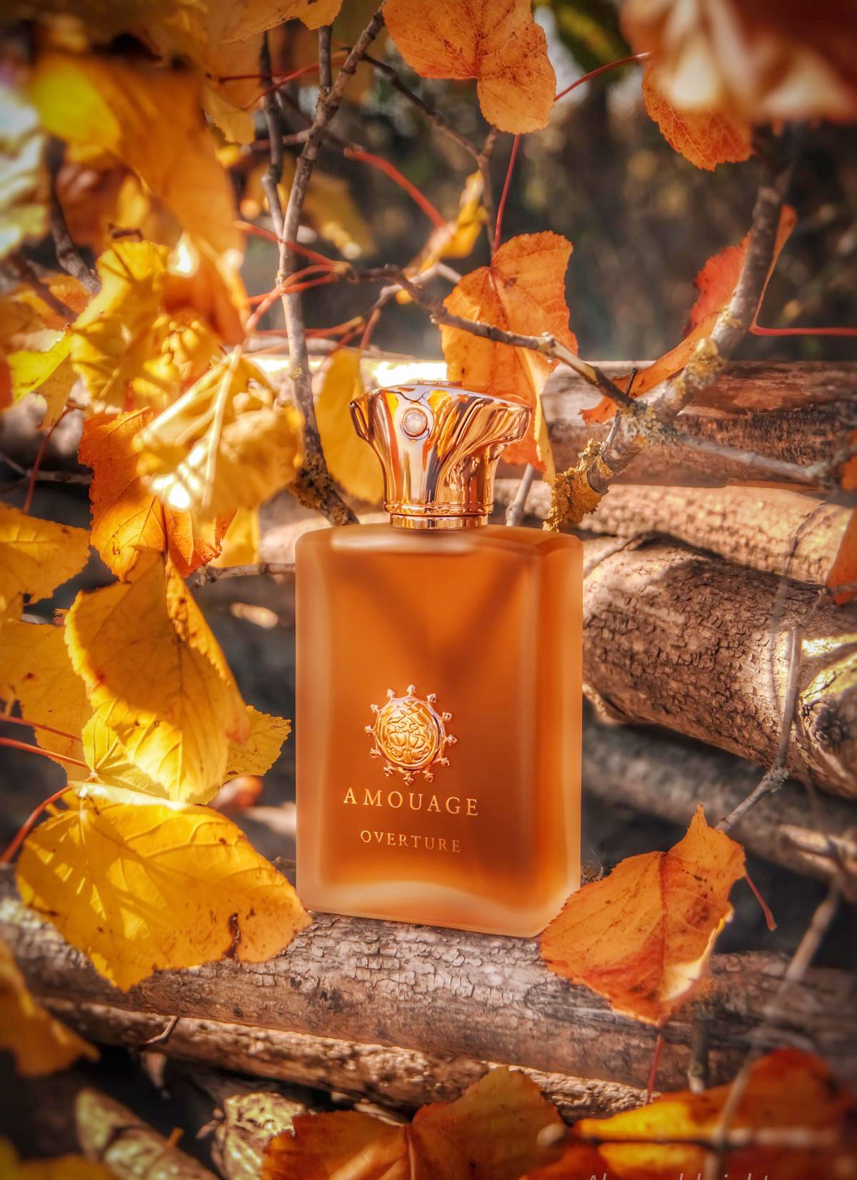 Nước hoa Amouage Overture Man EDP Nước hoa Amouage Overture Man EDP - Yêu Hàng Ngoại