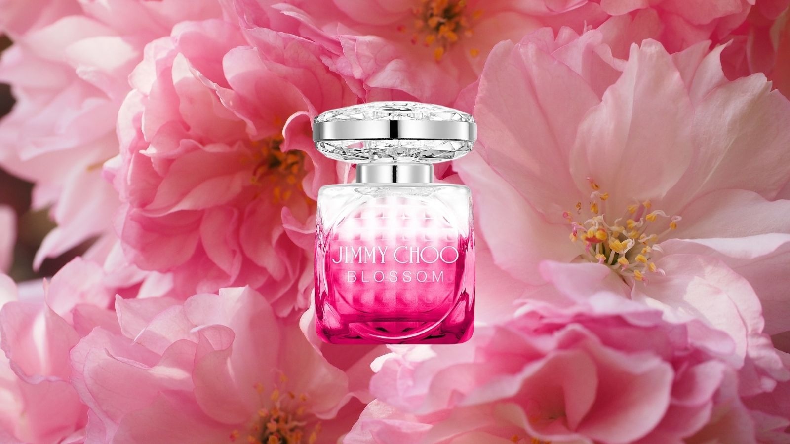 Nước hoa Jimmy Choo Blossom EDP Nước hoa Jimmy Choo Blossom EDP - Yêu Hàng Ngoại