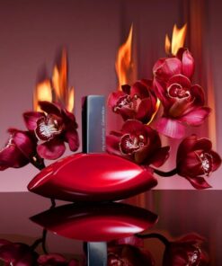 Nước hoa Calvin Klein My Euphoria EDP Nước hoa Calvin Klein My Euphoria EDP - Yêu Hàng Ngoại