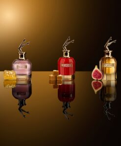 Nước hoa Jean Paul Gaultier Absolu Parfum Concentre Nước hoa Jean Paul Gaultier Absolu Parfum Concentre - Yêu Hàng Ngoại
