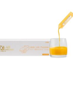Nước Uống Nghệ Nano Xlab Curcumin Ukon LPS Fucoidan Nhật Bản