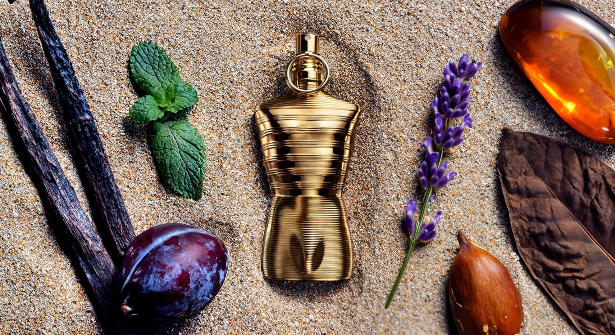 Nước hoa Jean Paul Gaultier Le Male Elixir Absolu Nước hoa Jean Paul Gaultier Le Male Elixir Absolu - Yêu Hàng Ngoại