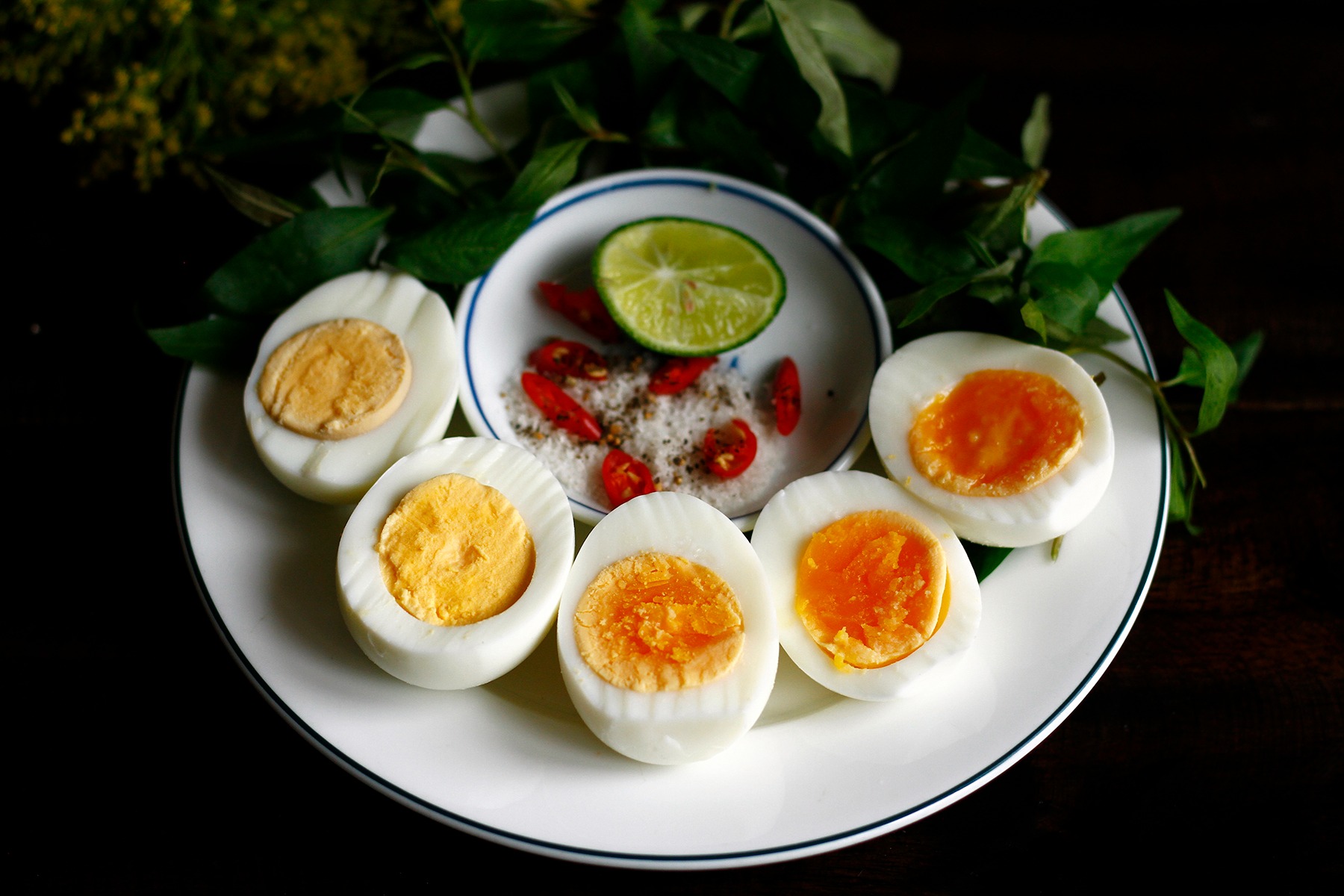 TOP 5 món ăn sáng giàu protein cho trẻ TOP 5 món ăn sáng giàu protein cho trẻ - Yêu Hàng Ngoại