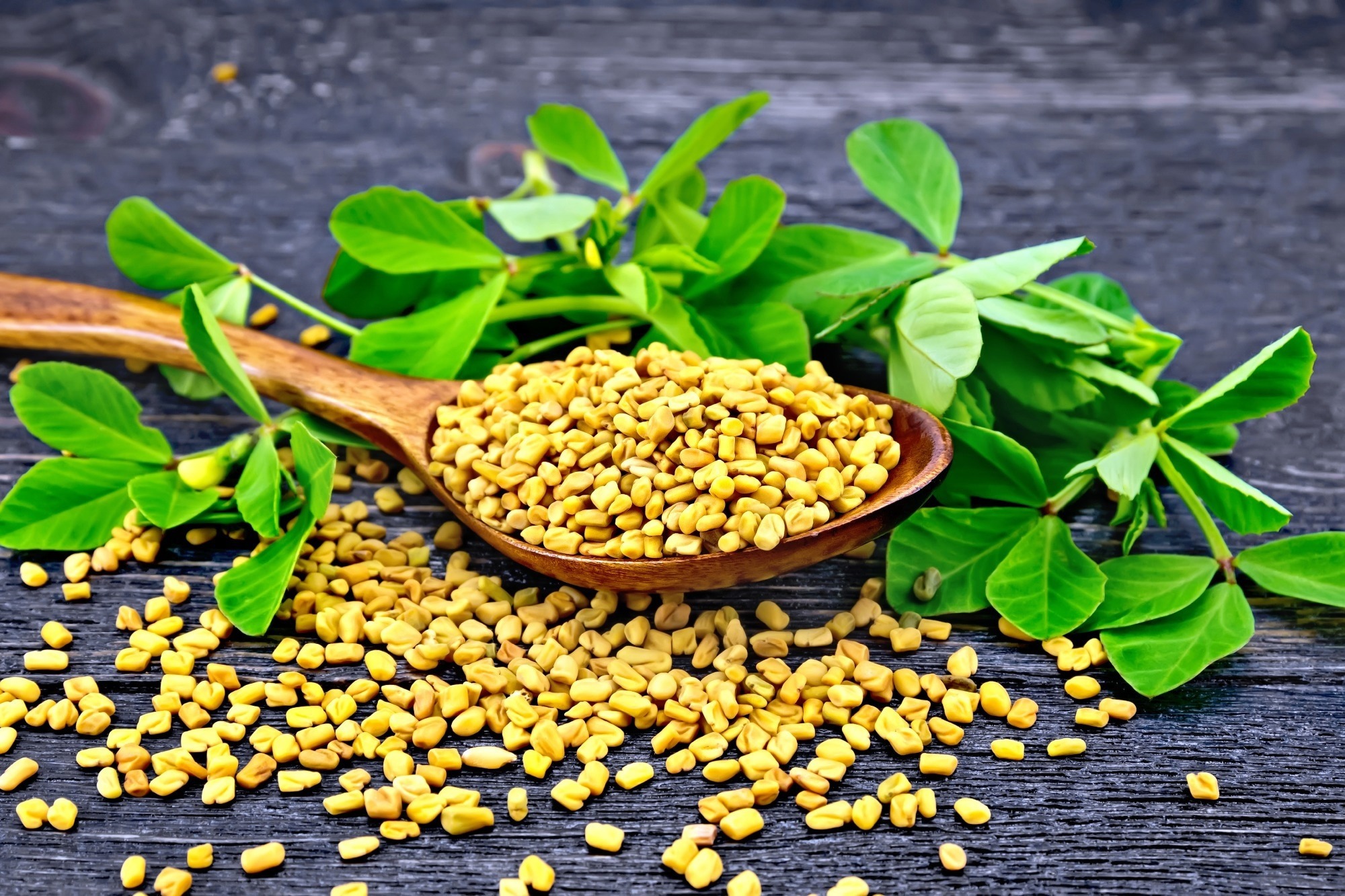 Cỏ Cà Ri (Fenugreek): Lợi Ích Sức Khỏe, Cách Dùng Và Những Lưu Ý Cần Biết Cỏ Cà Ri (Fenugreek): Lợi Ích Sức Khỏe, Cách Dùng Và Những Lưu Ý Cần Biết - Yêu Hàng Ngoại