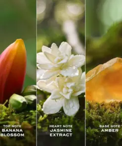 Nước hoa Marc Jacobs Daisy Wild Eau So Intense EDP Nước hoa Marc Jacobs Daisy Wild Eau So Intense EDP - Yêu Hàng Ngoại
