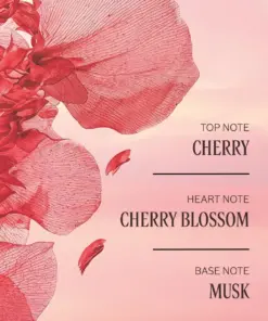 Kem Dưỡng Da Tay L'Occitane Fleurs de Cerisier Perfumed Hand Cream Kem Dưỡng Da Tay L'Occitane Fleurs de Cerisier Perfumed Hand Cream - Yêu Hàng Ngoại