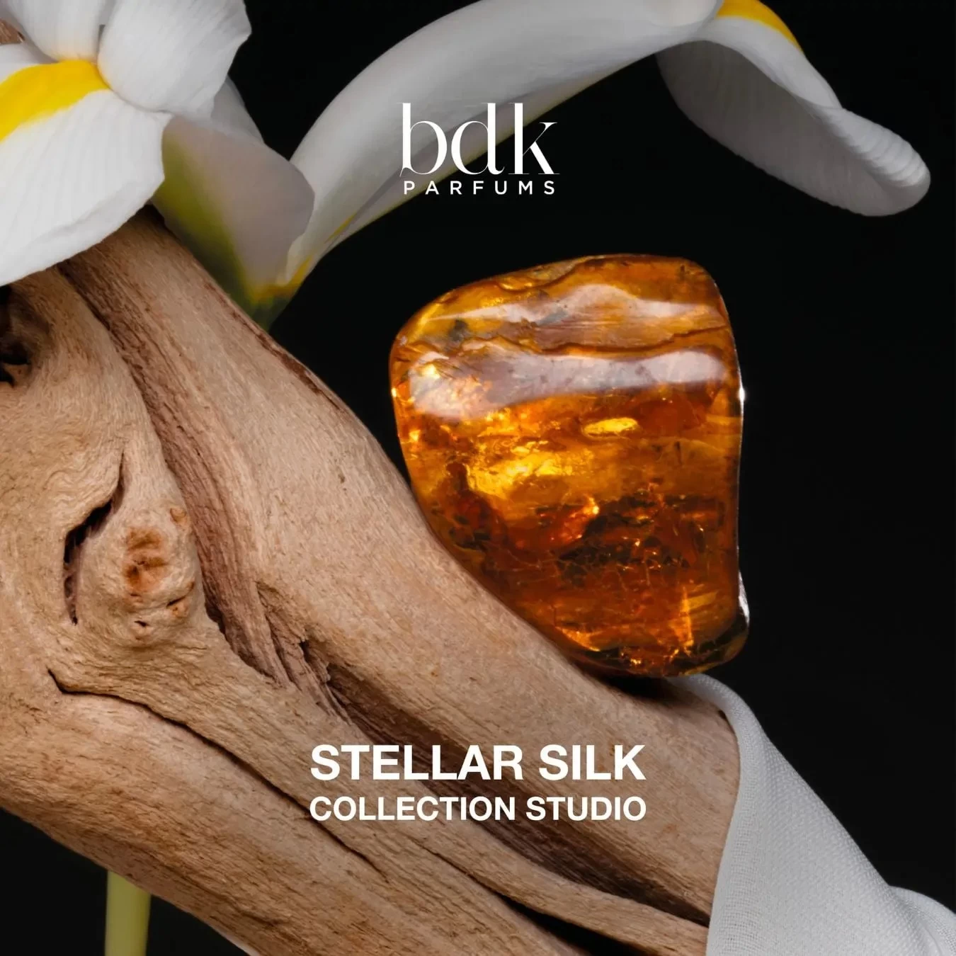 Nước Hoa Niche BDK Parfums Stellar Silk Absolu de Parfum Nước Hoa Niche BDK Parfums Stellar Silk Absolu de Parfum - Yêu Hàng Ngoại