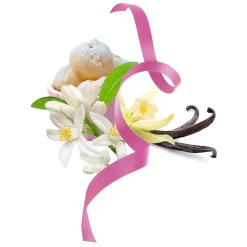 Nước hoa Salvatore Ferragamo Signorina Romantica EDP Nước hoa Salvatore Ferragamo Signorina Romantica EDP - Yêu Hàng Ngoại