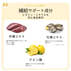 Nước Nghệ Bổ Gan, Hỗ Trợ Giải Rượu Renolife LipoCUR (Hộp 30 Gói x 20g) Nước Nghệ Bổ Gan, Hỗ Trợ Giải Rượu Renolife LipoCUR (Hộp 30 Gói x 20g) - Yêu Hàng Ngoại
