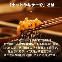Viên Uống Hỗ Trợ Tim Mạch iSDG Natto Life Nattokinase 4000FU Nhật Bản Viên Uống Hỗ Trợ Tim Mạch iSDG Natto Life Nattokinase 4000FU Nhật Bản - Yêu Hàng Ngoại