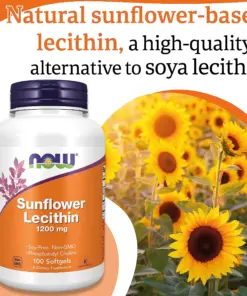 Alternative view of Viên Uống NOW Sunflower Lecithin 1200 mg – Hỗ Trợ Hệ Thần Kinh Khỏe Mạnh