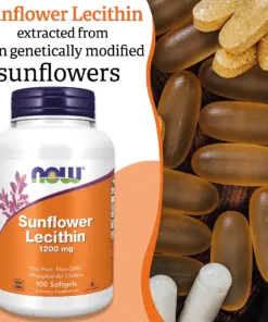 Viên Uống NOW Sunflower Lecithin 1200 mg – Hỗ Trợ Hệ Thần Kinh Khỏe Mạnh Viên Uống NOW Sunflower Lecithin 1200 mg – Hỗ Trợ Hệ Thần Kinh Khỏe Mạnh - Yêu Hàng Ngoại