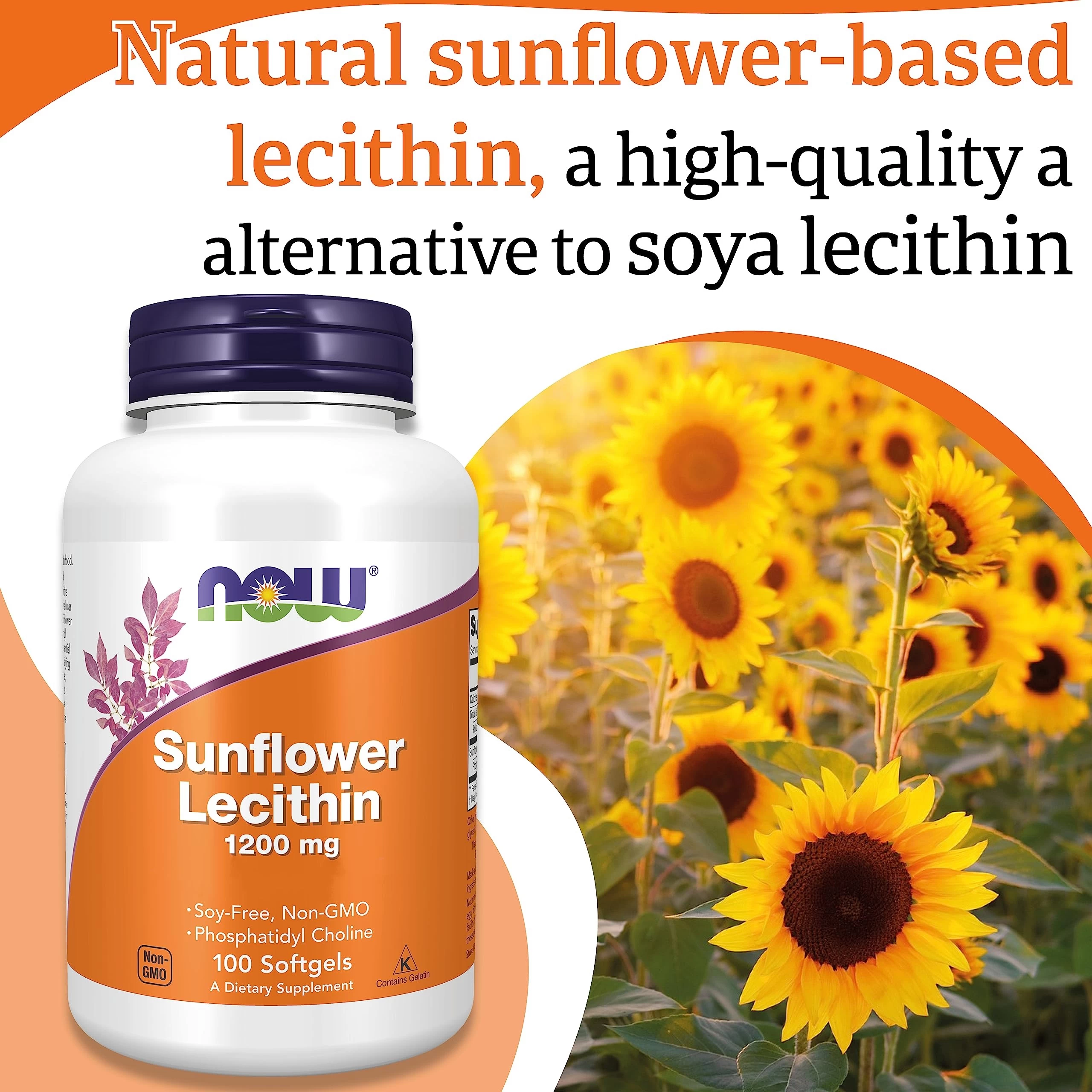 Viên Uống NOW Sunflower Lecithin 1200 mg – Hỗ Trợ Hệ Thần Kinh Khỏe Mạnh Viên Uống NOW Sunflower Lecithin 1200 mg – Hỗ Trợ Hệ Thần Kinh Khỏe Mạnh - Ảnh 2